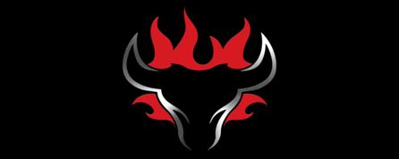 Schwank Grills promo code