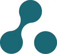 Seeing the Big Picture logo