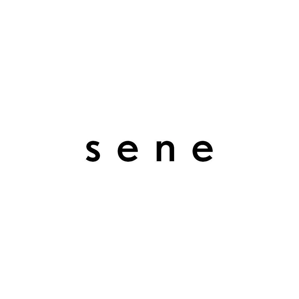 Senestudio