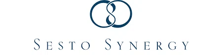 Sesto Synergy logo