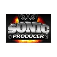 Sonic Producer promo code