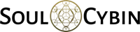 SoulCybin logo