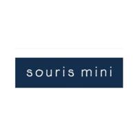 Souris Mini promo code