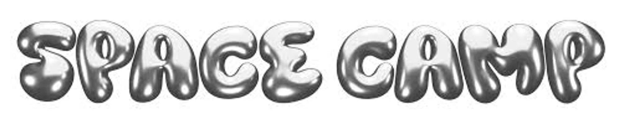 Space Camp Wellness logo