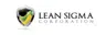 Lean Six Sigma logo