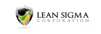 Lean Six Sigma logo