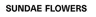 Sundae Flowers logo