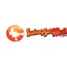 SwingSetMall.com logo