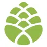 Spruce CBD logo