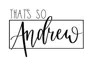 That's So Andrew logo