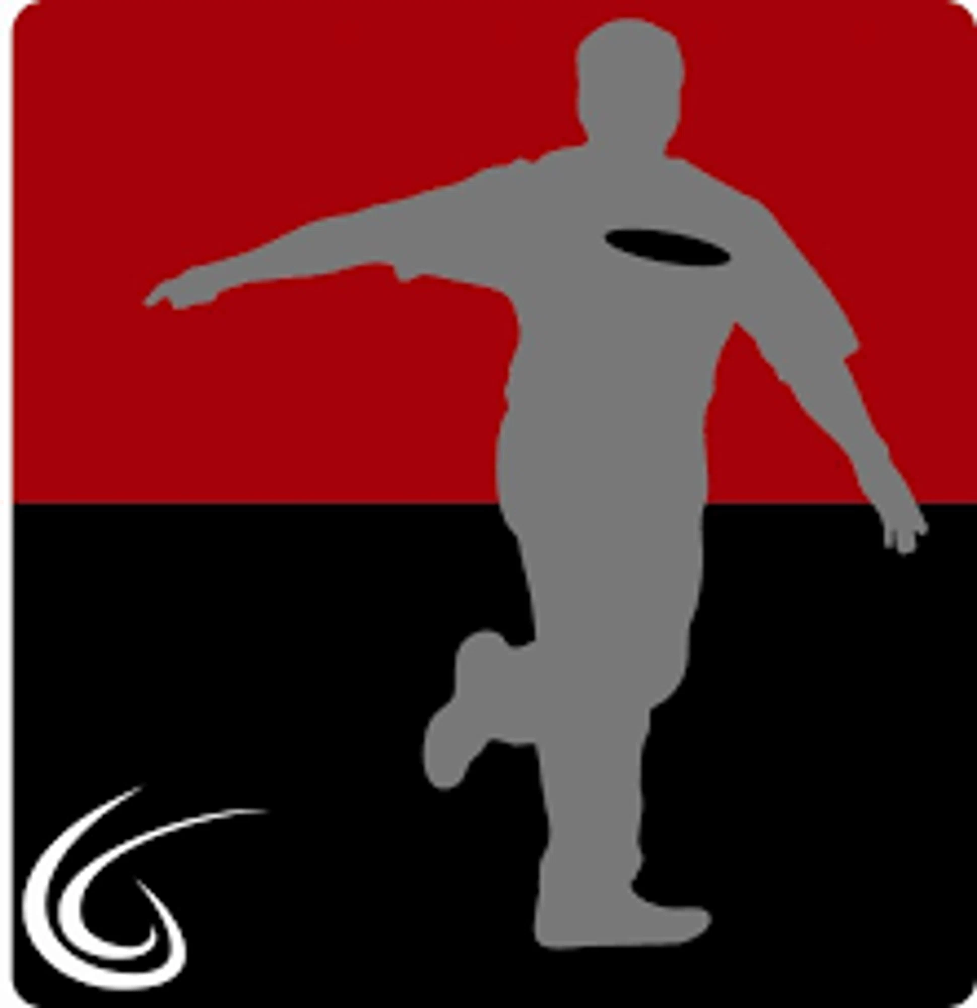 The Disc Golf Guy logo