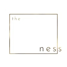 the ness logo