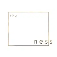 the ness logo
