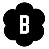 The Belfaire logo