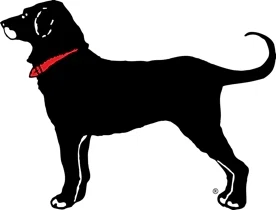 The Black Dog logo