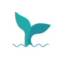 The Little Whale logo