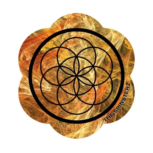 The Spinsterz logo
