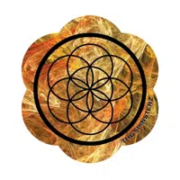 The Spinsterz logo