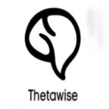 Thetawise AI logo