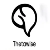Thetawise AI logo
