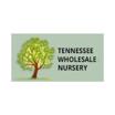 Tn Nursery discount code