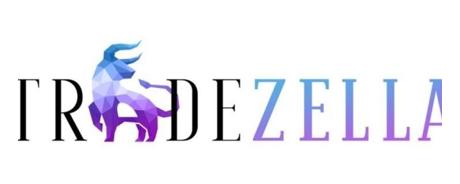 TradeZella promo code
