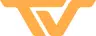Trendt Vision logo