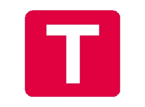 True Fit logo