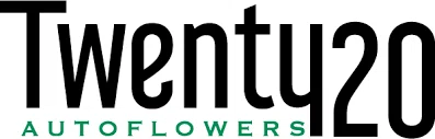 Twenty20 Mendocino logo