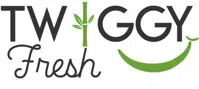 Twiggy Fresh logo