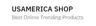 US America logo