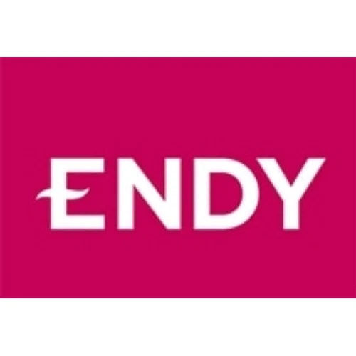 Endy logo