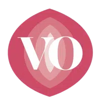 Vibes Only logo