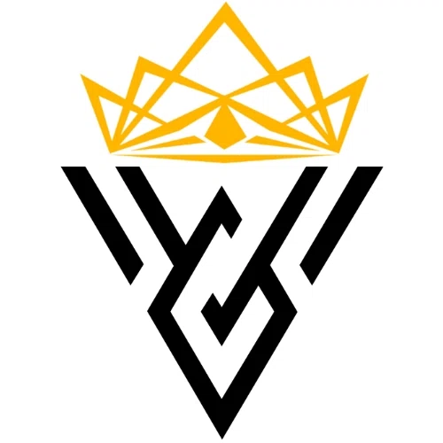 VibeVice logo
