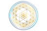 Vibroacoustic Solutions logo