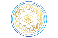 Vibroacoustic Solutions logo