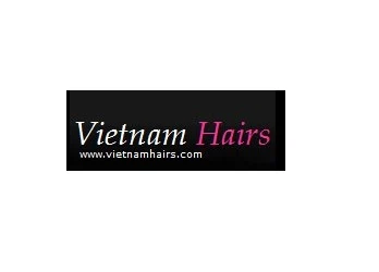 Vietnamhairs logo