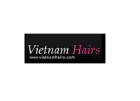 Vietnamhairs logo