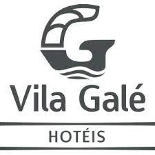 Vila Gale Alentejo Vineyards logo