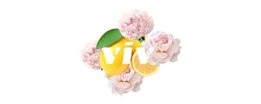 viv for your v coupon code