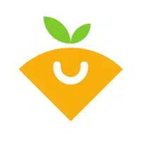 Web Food Store logo