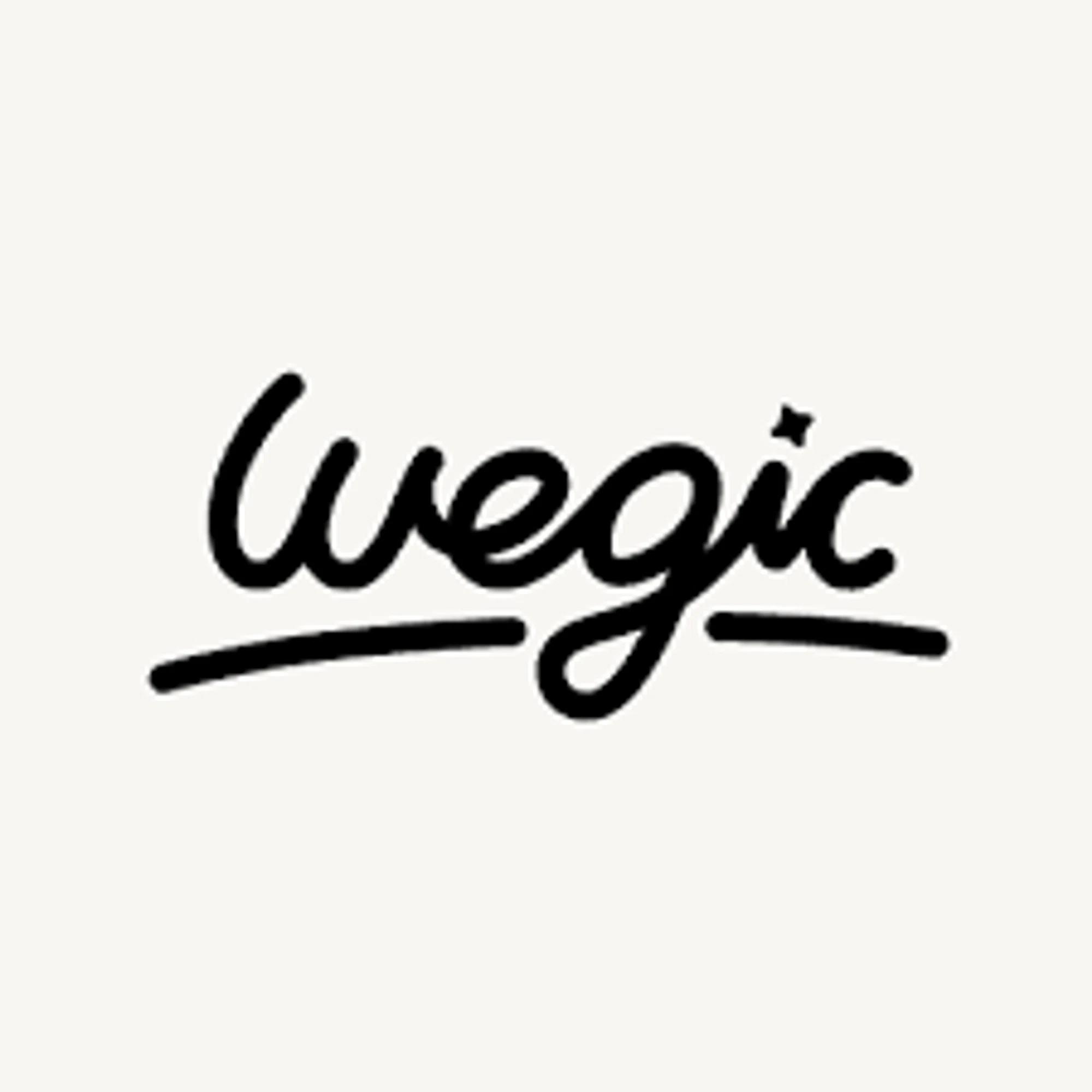 Wegic promo code
