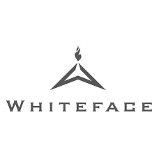 Whiteface Mountain logo
