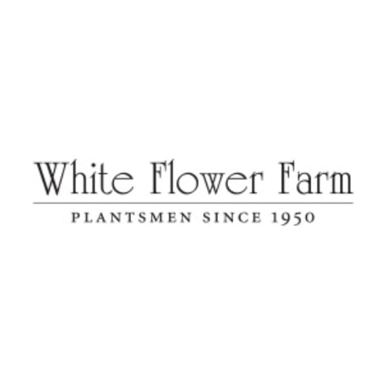 White Flower Farm Promo Codes 20 Off June 2024