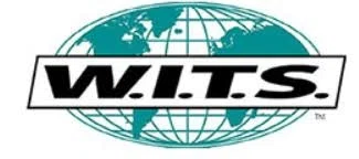 W.I.T.S. logo
