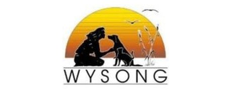 Wysong promo code