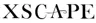 Xscape Evenings logo