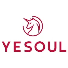 YESOUL logo