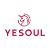 YESOUL coupon code