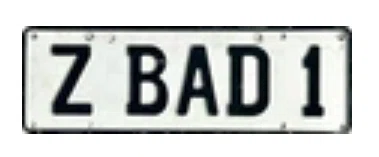 ZBAD1 logo